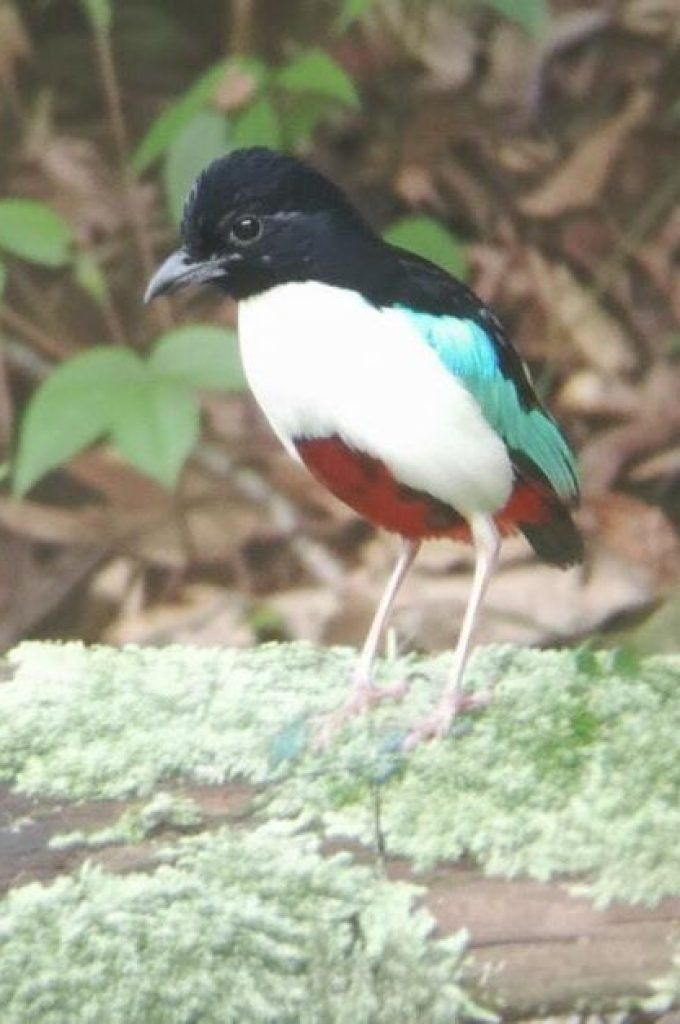 WhatsApp Image 2025-10-11 at 21.59.07