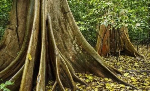 7a24cfe33250f96db19cdb62860d0529