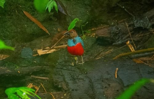 WhatsApp Image 2025-10-11 at 21.58.46