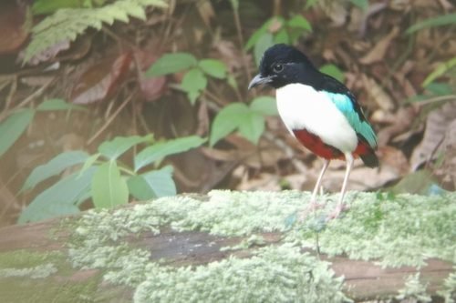 WhatsApp Image 2025-10-11 at 21.59.07