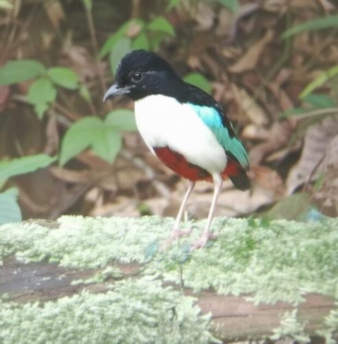 WhatsApp Image 2025-10-11 at 21.59.07