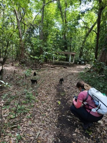 WhatsApp Image 2025-10-11 at 23.00.40_9b6fc58b